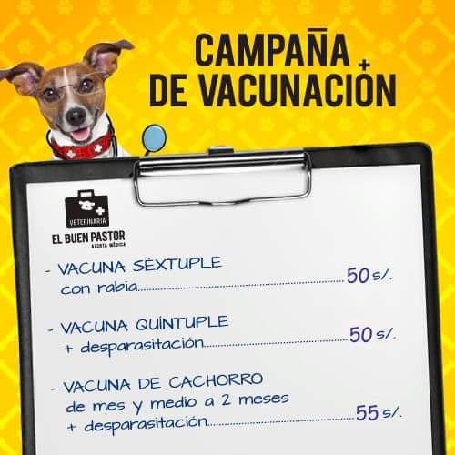 promociones de vacunas